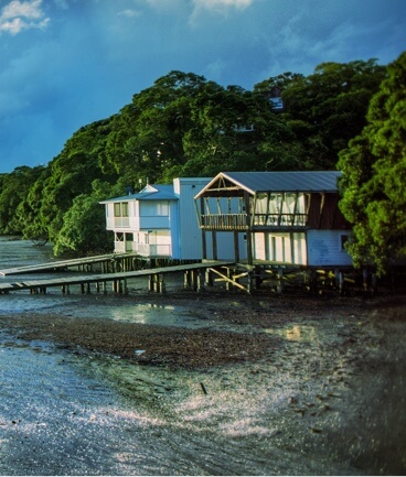 A beachfront view of a cottage from the shoreline.